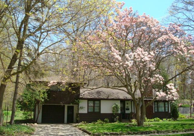 135-glenforest-road-cambridge-ontario-40813893