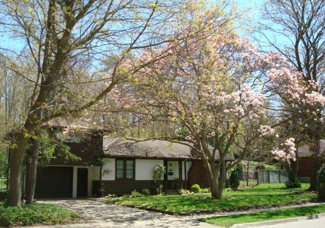 135-glenforest-road-cambridge-ontario-40813893