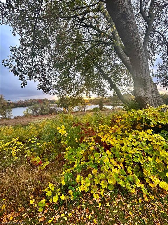 40-ivy-crescent-paris-ontario-40814394
