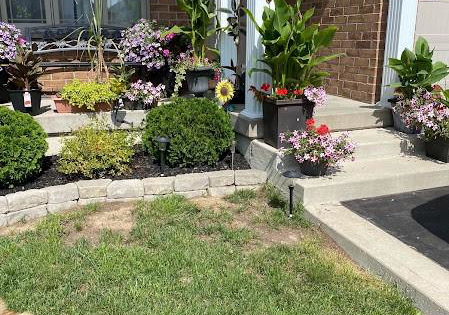 14-lafayette-street-e-jarvis-ontario-40815900