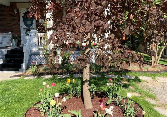 55-aberdeen-road-s-cambridge-ontario-40817530