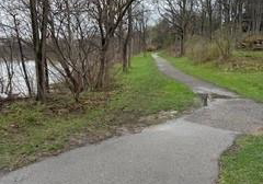 12-todd-street-cambridge-ontario-40821265