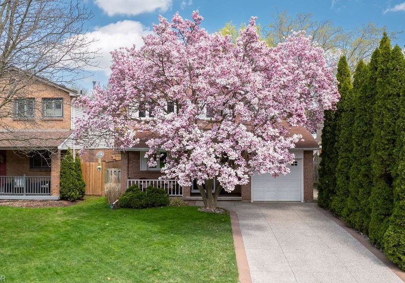 161-riverview-street-oakville-ontario-40822548