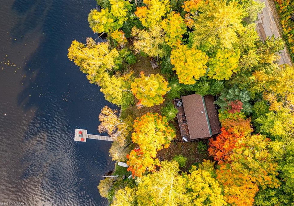 1220-portage-lake-road-haliburton-ontario-40823788