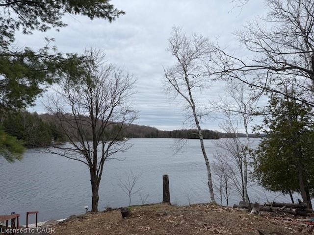 36-st-ola-lake-shore-e-limerick-ontario-40824016
