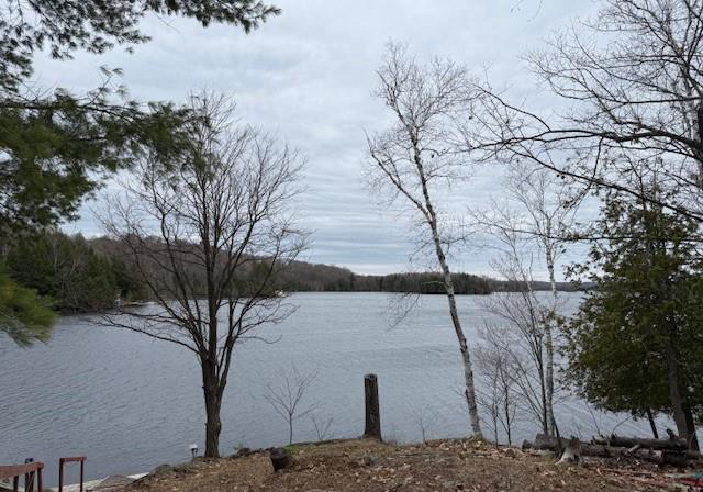36-st-ola-lake-shore-e-limerick-ontario-40824016
