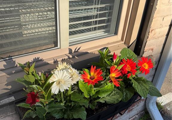 156-james-street-s-hamilton-ontario-40824489