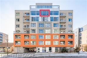 321-spruce-street-waterloo-ontario-40825191
