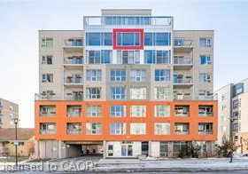 321-spruce-street-waterloo-ontario-40825191