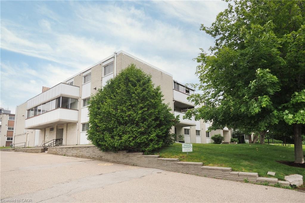 6-walton-avenue-kitchener-ontario-40826331