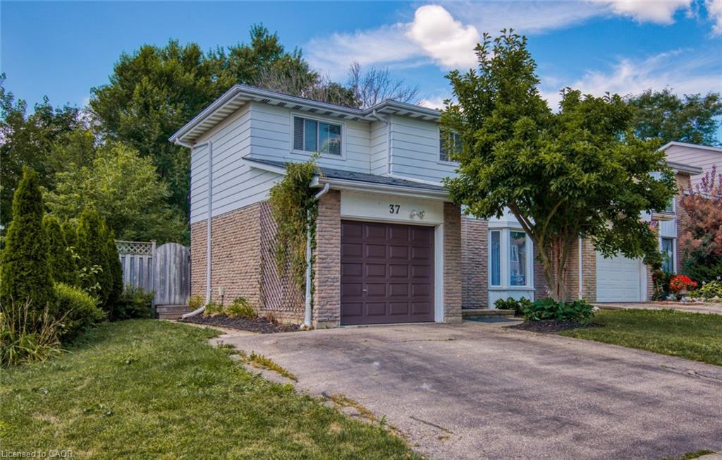 37-glen-avon-crescent-kitchener-ontario-40827011