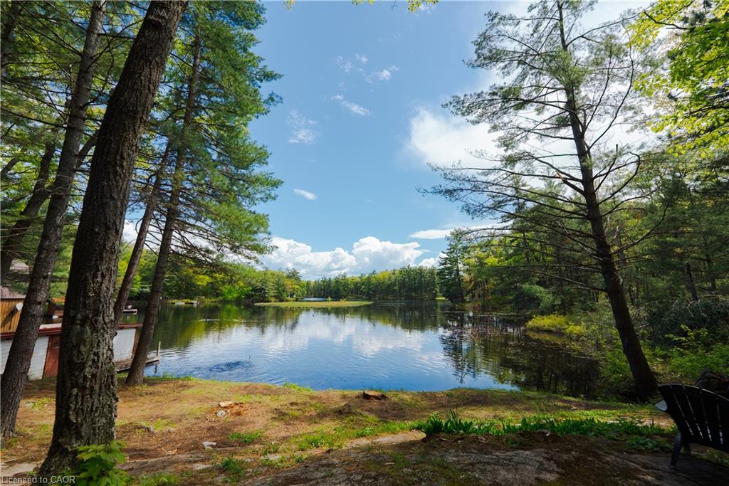 847-west-kosh-road-havelock-ontario-40827281