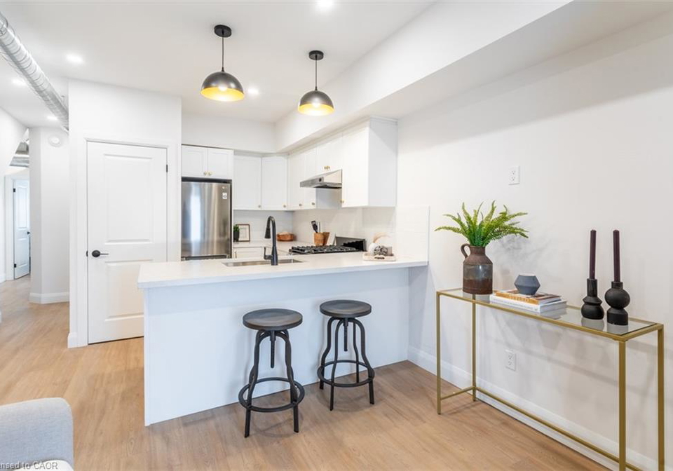 113-catharine-street-n-hamilton-ontario-40829277