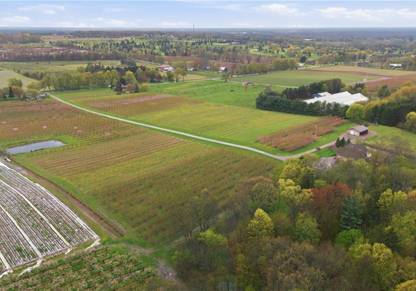 461-tice-road-ridgeville-ontario-40833299