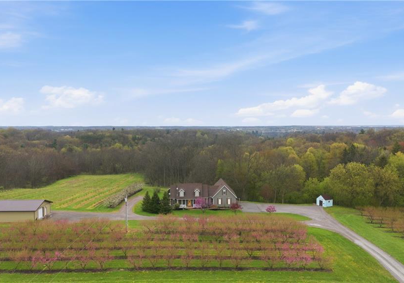 461-tice-road-ridgeville-ontario-40833299