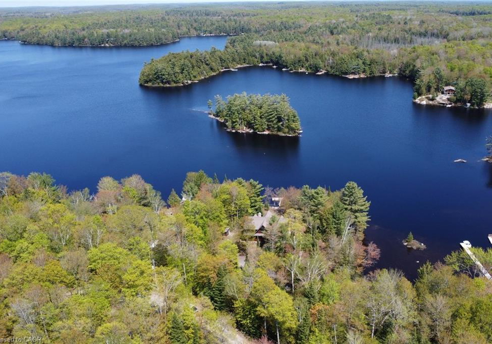 1175-dickie-lake-road-w-baysville-ontario-40834236