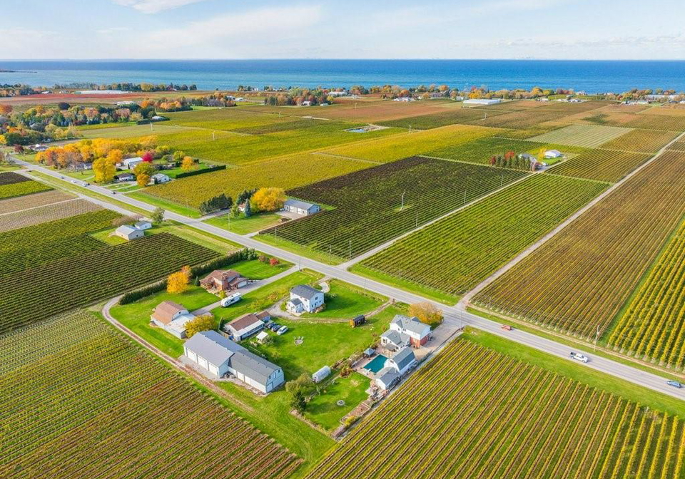 165-east-west-line-line-niagara-on-the-lake-ontario-40834695