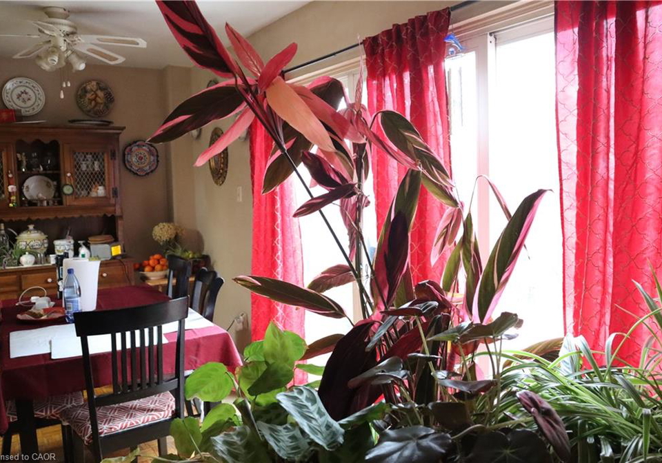 17-old-pine-trail-st-catharines-ontario-40836250
