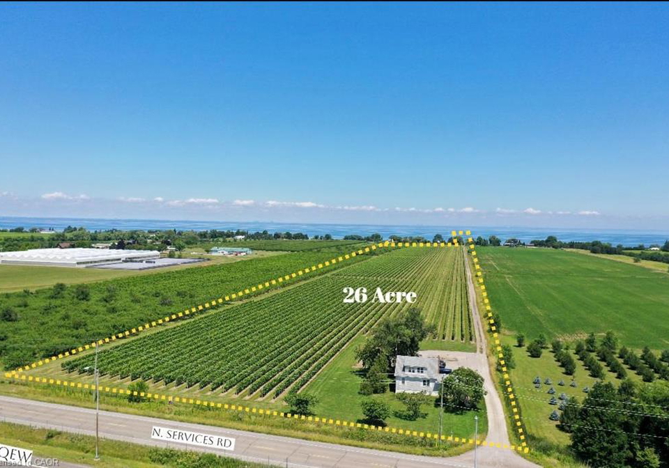 3705-service-road-n-beamsville-ontario-40836900