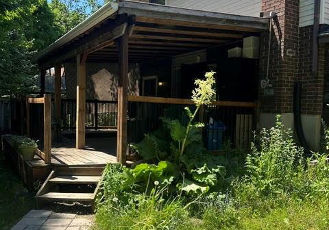 165-bechtel-street-kitchener-ontario-40837844