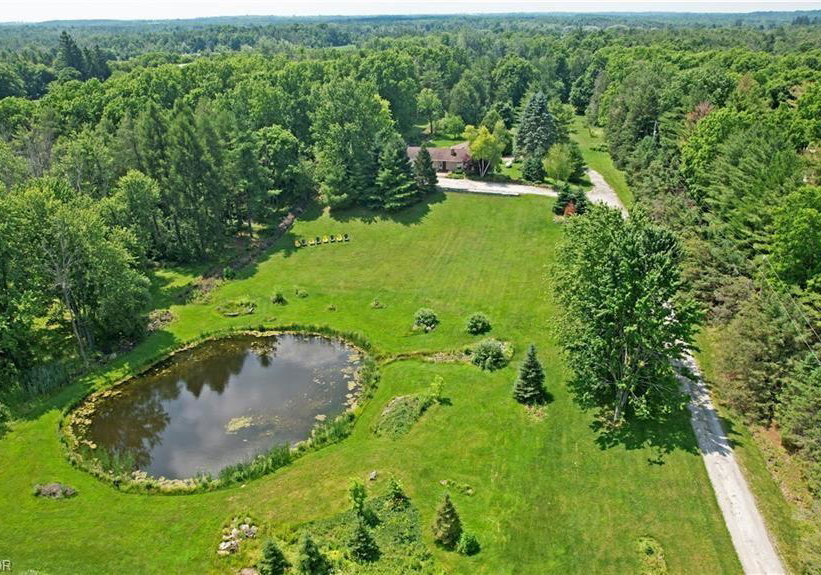 10566-second-line-campbellville-ontario-40838706