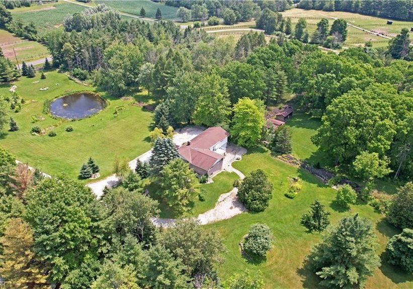 10566-second-line-campbellville-ontario-40838706