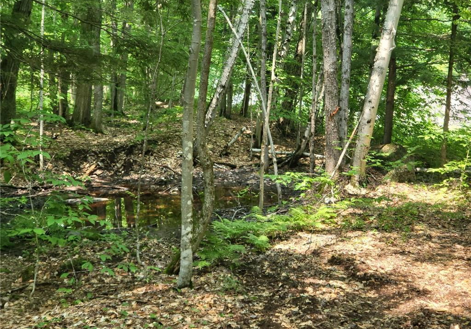 1125-barlochan-road-torrance-ontario-40839501