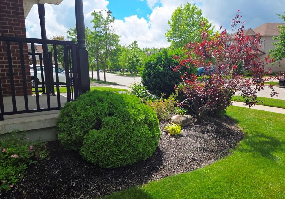 570-st-moritz-avenue-waterloo-ontario-40841361