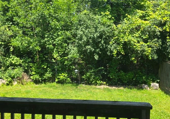 249-bussel-crescent-milton-ontario-40841791