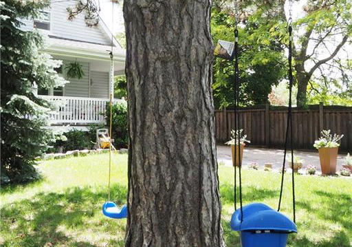 103-belleview-avenue-kitchener-ontario-40841830