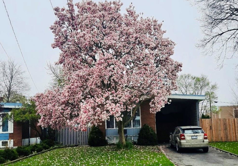154-luscombe-street-hamilton-ontario-40844271