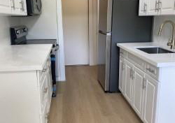 151-siebert-avenue-kitchener-ontario-40844285