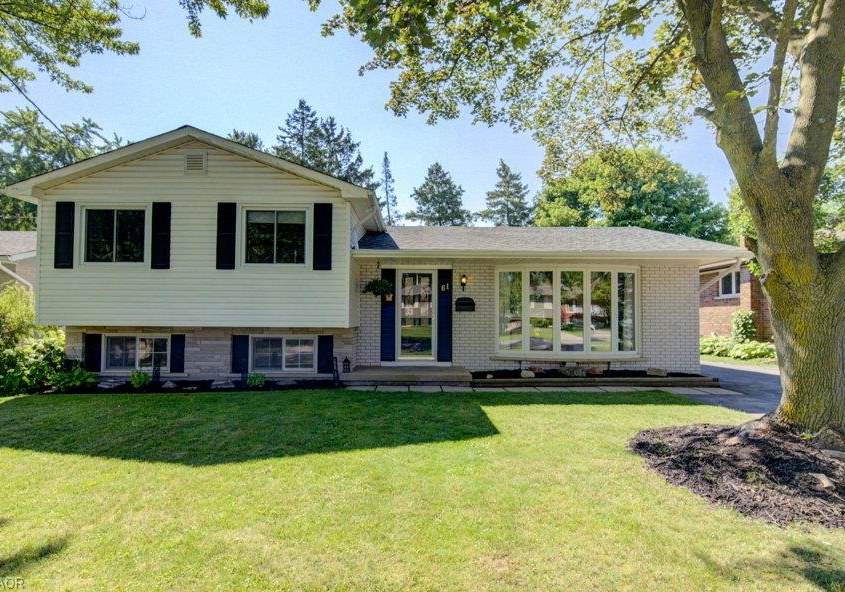 61-windsor-street-guelph-ontario-40845359