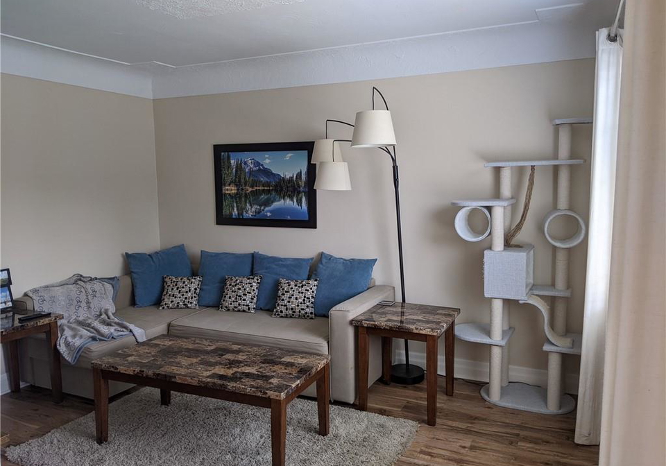 257-dundonald-avenue-hamilton-ontario-40847174