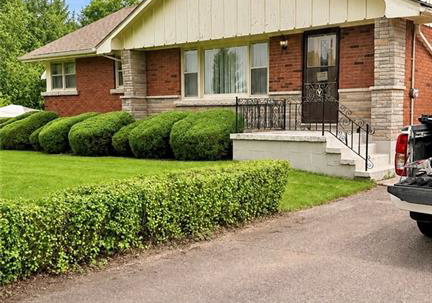 3893-highway-24-waterford-ontario-40847906