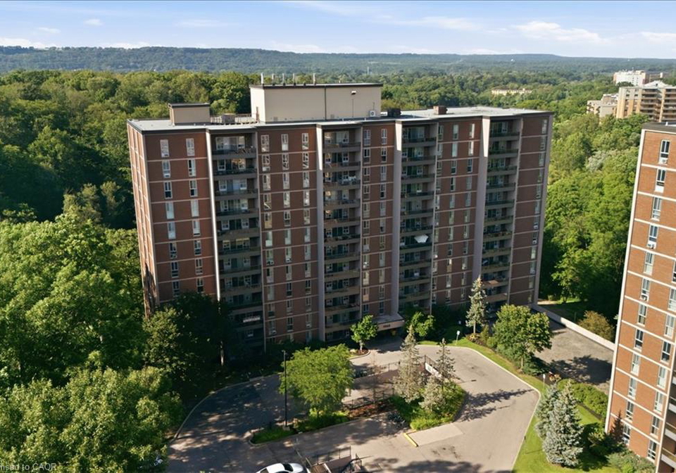 1968-main-street-w-hamilton-ontario-40848473