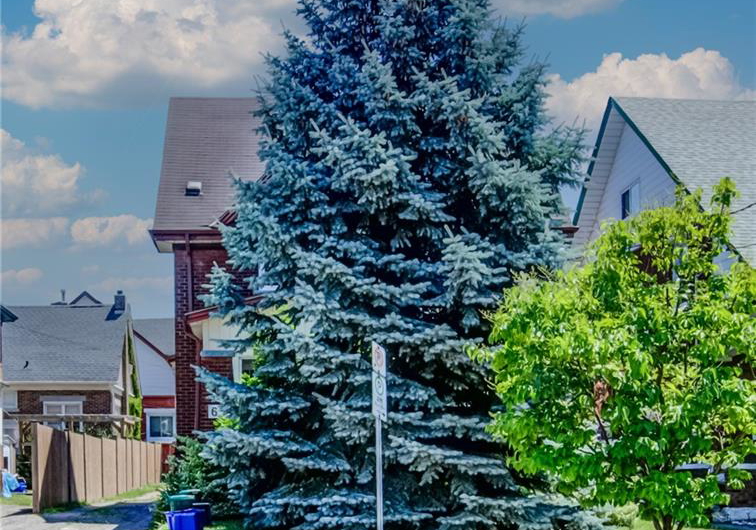 63-cameron-street-n-kitchener-ontario-40850078