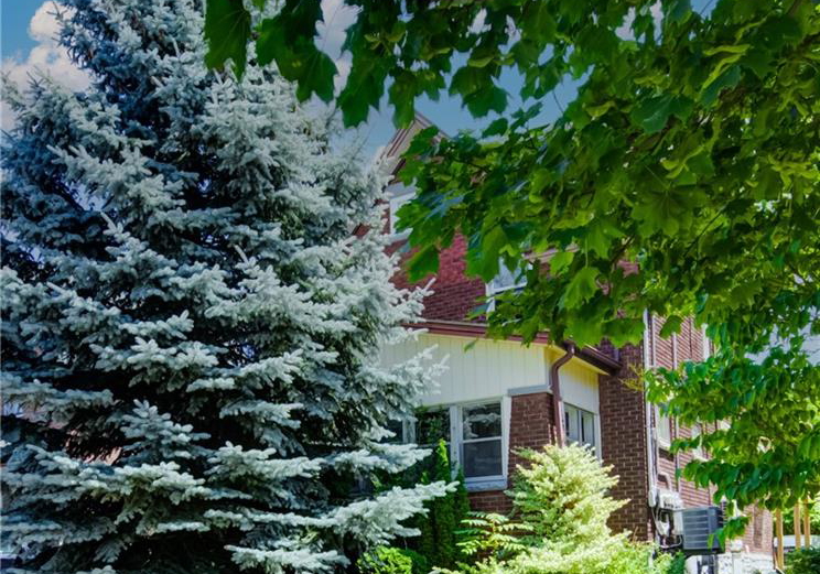 63-cameron-street-n-kitchener-ontario-40850078