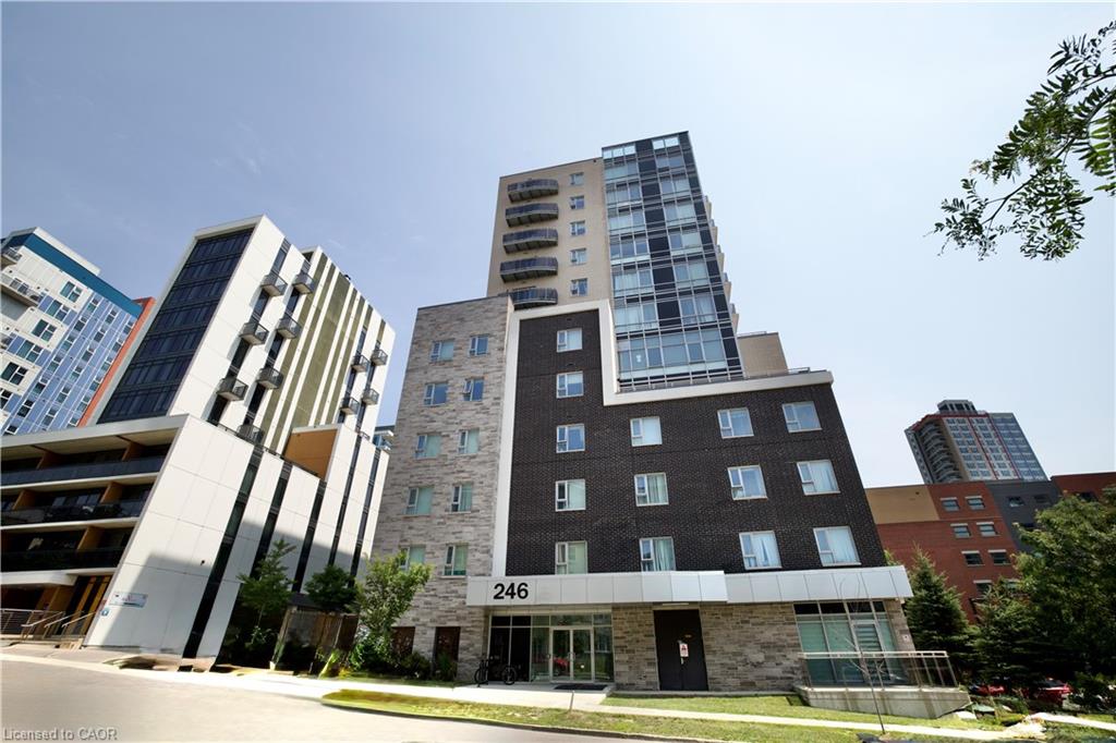 246-lester-street-waterloo-ontario-40851140