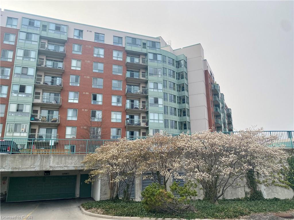 30-blue-springs-drive-waterloo-ontario-40853509