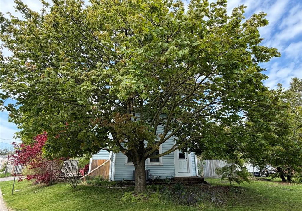 1-john-avenue-paris-ontario-40854855