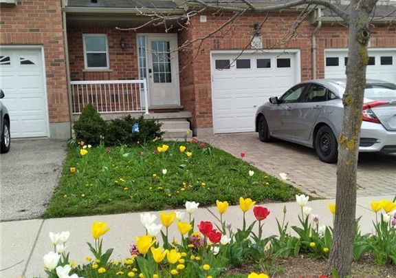 563-chablis-drive-waterloo-ontario-40854863