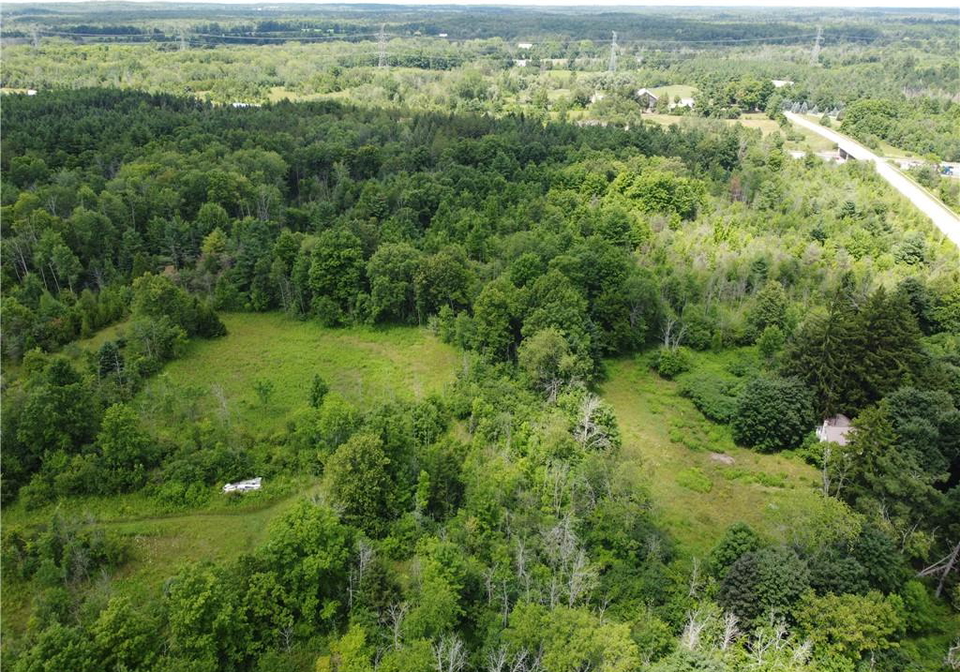 9414-first-line-nassagaweya-milton-ontario-40857116