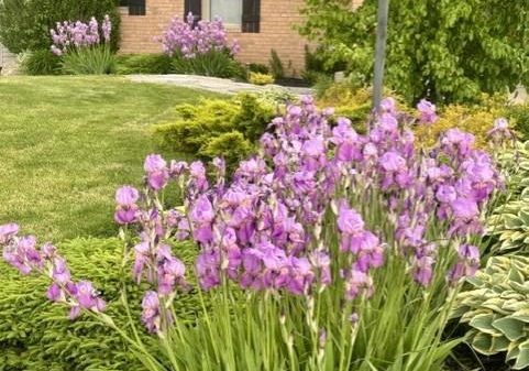 4276-westbrook-road-binbrook-ontario-40860194