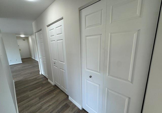 232-louisa-street-kitchener-ontario-40860682