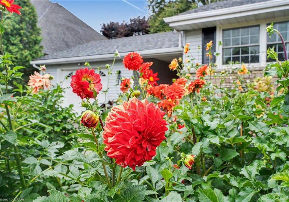 11-miller-drive-ancaster-ontario-40862273