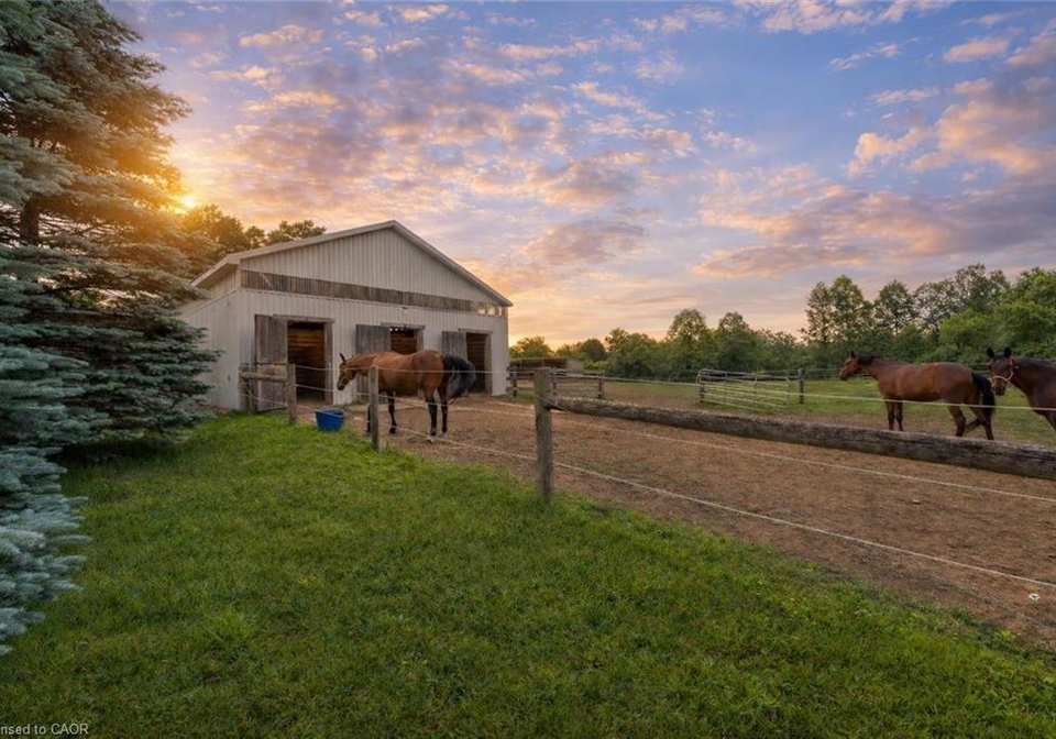 3988-hwy-6-puslinch-ontario-40862978