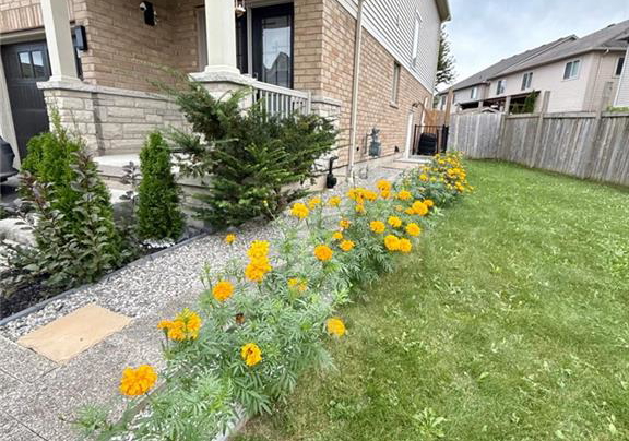 57-creek-ridge-street-kitchener-ontario-40864870