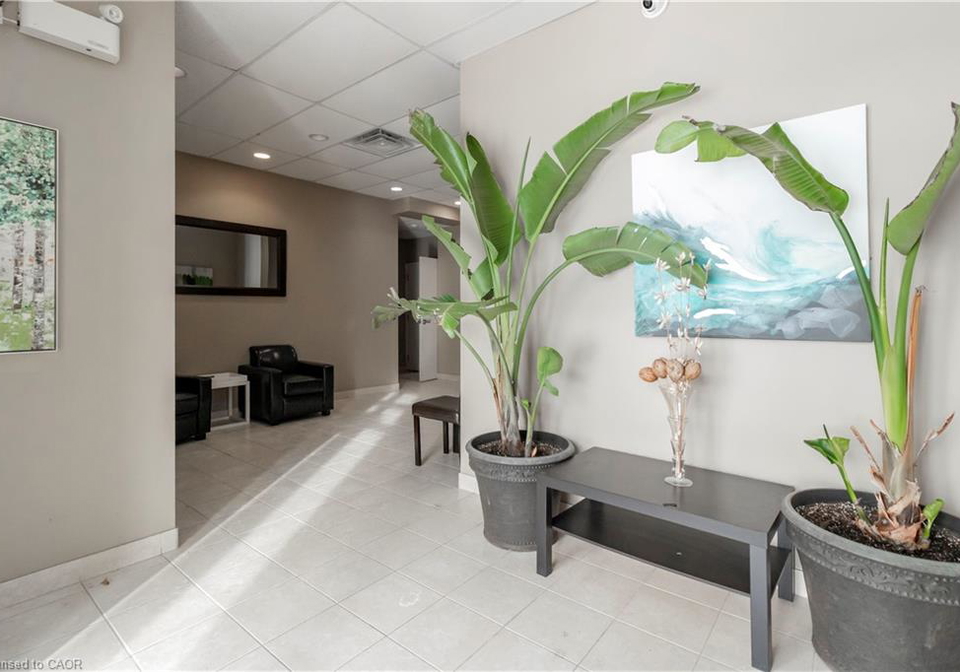 36-regina-street-n-waterloo-ontario-40865253