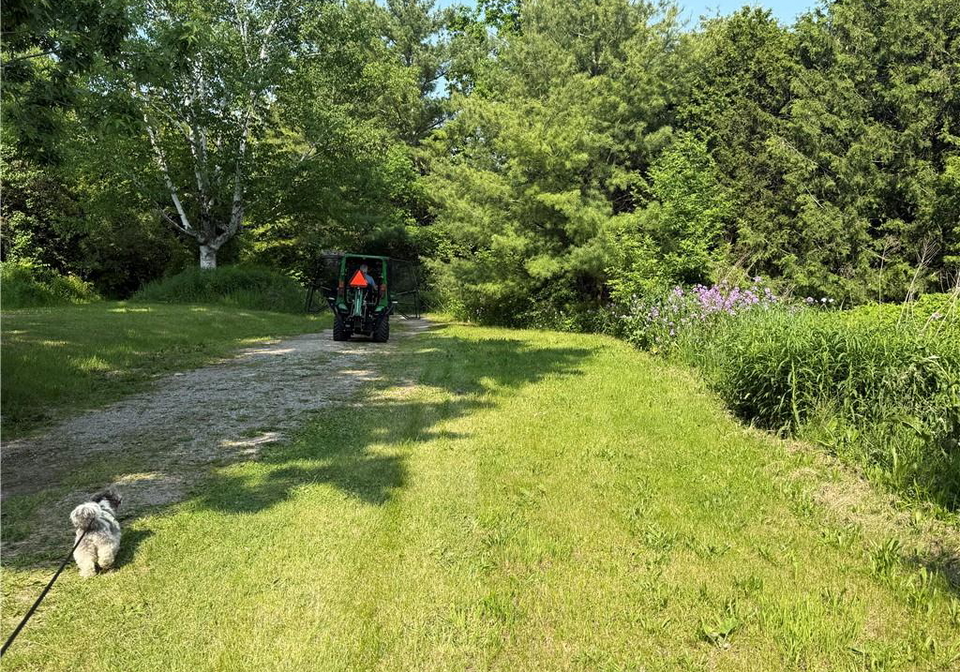 6602-gore-road-north-dumfries-ontario-40866222